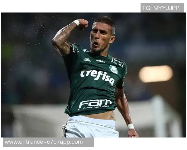 帕梅拉斯与达伽马的激烈对决揭示巴西足球的竞争魅力与战术智慧