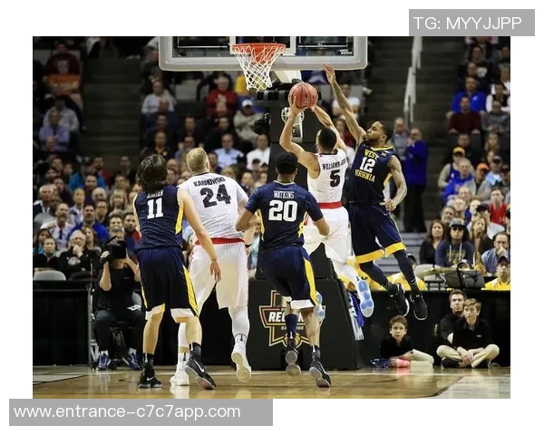 智力与澳大利亚直播对决全程回顾精彩瞬间分析与评论